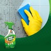 Lime-A-Way Lime Calcium Rust Cleaner - 22 fl oz - image 2 of 4