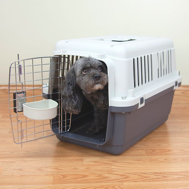 Kennels Direct Dog Crate - Gray, 3 of 6