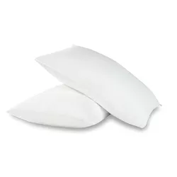 2pk Cooling Rayon from Bamboo Pillow Protector - All In One