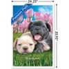 Trends International Keith Kimberlin - Bulldog Puppies Framed Wall Poster Prints - 3 of 4