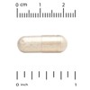 Lake Avenue Nutrition Saccharomyces Boulardii, 10 Billion CFU, 60 Veggie Capsules (5 Billion CFU per Capsule) - 3 of 3