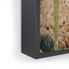 Bethany Young Photography Cabo Cactus VII Framed Mini Art - Society6 - 3 of 3
