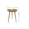 Noble House Akira End Table 15"x15"x21.50" - 4 of 4