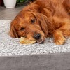 Pet Factory American Beefhide Chips - 4 of 4