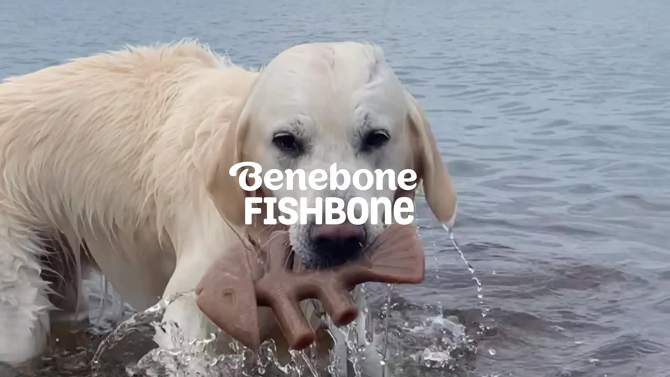 Benebone Fishbone Dog Chew Toy - Fish - M, 2 of 12, play video