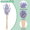 Unique Bargains Artificial Dried Flowers Realistic Look Pampas Bunny Tails Grass 17 Inch - 2 of 4
