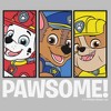 Toddler PAW Patrol Awesome Team T Shirt - 2 of 3