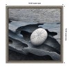 Amanti Art Nautical Shell still life III by Savanah Plank Danita Delimont Canvas Wall Art Print Framed 16 x 16-in. - 4 of 4
