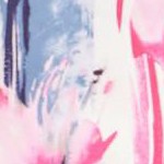 pink burst painterly floral