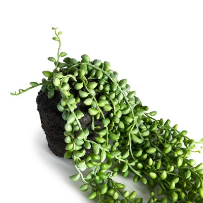 Green Plastic String of Pearls Succulent Topiary