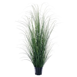 Green Tufted Hairgrass Potted UV - 1 of 2