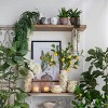 GlasFlength Artificial Plants Artificial Rubber Tree Artificial Lemon Tree Faux Plants for Indoor Home Decoration, Green, 12"*12"*31.5" - 2 of 4