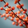 44"H Sullivans Fall Orange Ilex Berry Spray; Orange - 2 of 2
