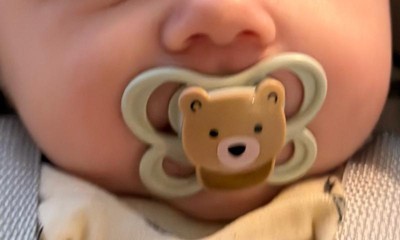 Guest review image 1 of 1, zoom in