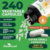 Forest Leaf Vitamin D3 50,000 IU, Bone Health and Immune Support, Small Easy-to-Swallow Capsules Vitamin D Supplements for Women and Men - 4 of 4