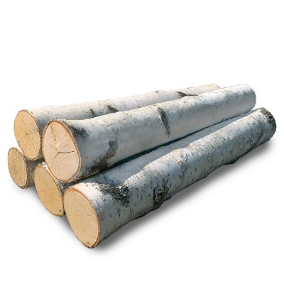 Wilson's Decorative White Birch Log Bundle - Set of 5 - 23-24" Long x 3-4" Diameter