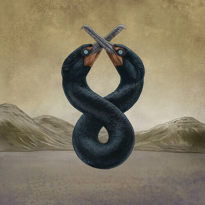 San Fermin - Cormorant I & II (Vinyl)