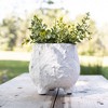 Distressed Footed Planter White Stoneware by Foreside Home & Garden - 2 of 4