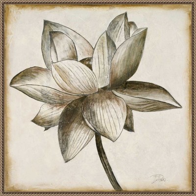 Amanti Art Sepia Lotus Blossom I by Patricia Pinto Canvas Wall Art Print Framed 22 x 22-in.