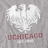 Men's University of Chicago Official Distressed Primary Logo T-Shirt - 2 of 4