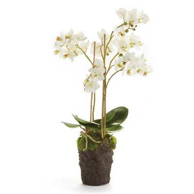 Plum & Post Phalaenopsis Orchid Faux (Fake) Drop-In 20"
