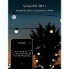 Twinkly Festoon  App-Controlled LED Bulb Lights String Indoor and Outdoor Smart Lighting Decoration - image 4 of 4