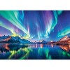 Trefl Red Northern Lights 1000 Piece Puzzle - 3 of 4