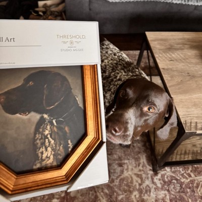 Guest review image 1 of 1, zoom in