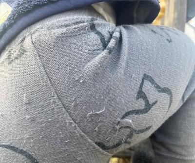 Guest review image 1 of 1, zoom in