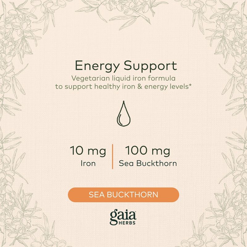 Gaia Herbs Plant Force Liquid Iron - Vegetarian Iron Supplement to Help Maintain Healthy Iron & Energy Levels - 8.5 Fl Oz, 3 of 9