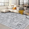 Acekool 5x7 Washable Area Rug - Boho Vintage Distressed Design, Stain Resistant Low Pile Rug for Living Room, Bedroom, Office, Grey - 2 of 4