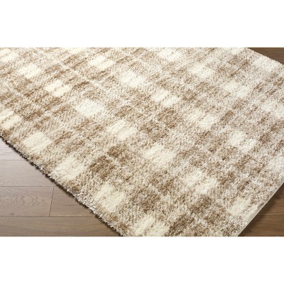 Hauteloom Anfisa Living Room, Bedroom Area Rug - Bohemian, Transitional - High Pile