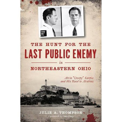 The Hunt for the Last Public Enemy in Northeastern Ohio - by  Julie A Thompson (Paperback)