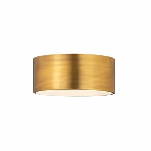 Z-Lite Harley 2 - Light Flush Mount in  Rubbed Brass - 1 of 1