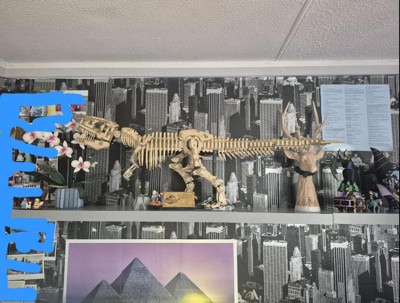 Guest review image 1 of 2, zoom in