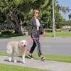 Shed Defender 5 ft. Standard Dog Leash - Three Padded Traffic Handles - Dual Layered Thickness - 2 of 3