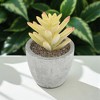 Unique Bargains Artificial Plants Flocked Pinecone in Mini Pulp Plastic 2.56"x2.56"x3.35" 1 Pcs - 2 of 4