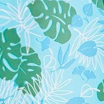 paradise blue palm