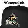Official Wright State University Primary Logo Foam Snapback Trucker Hat - for Men and Women Black, Black, One Size - 4 of 4
