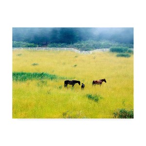 35" x 47" Serenity California by Monte Nagler - Trademark Fine Art: Gallery-Wrapped Canvas, Digital Landscape - 1 of 4