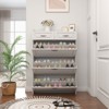 Bella Depot 31.5''W Shoe Cabinet with 3 Doors and 2 Drawers - 3 of 4