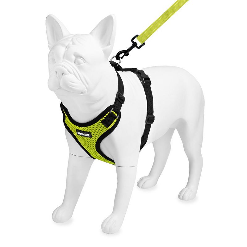 Voyager Step-In Lock Adjustable Dog & Cat Harness and 5ft Leash Combo, 3 of 6