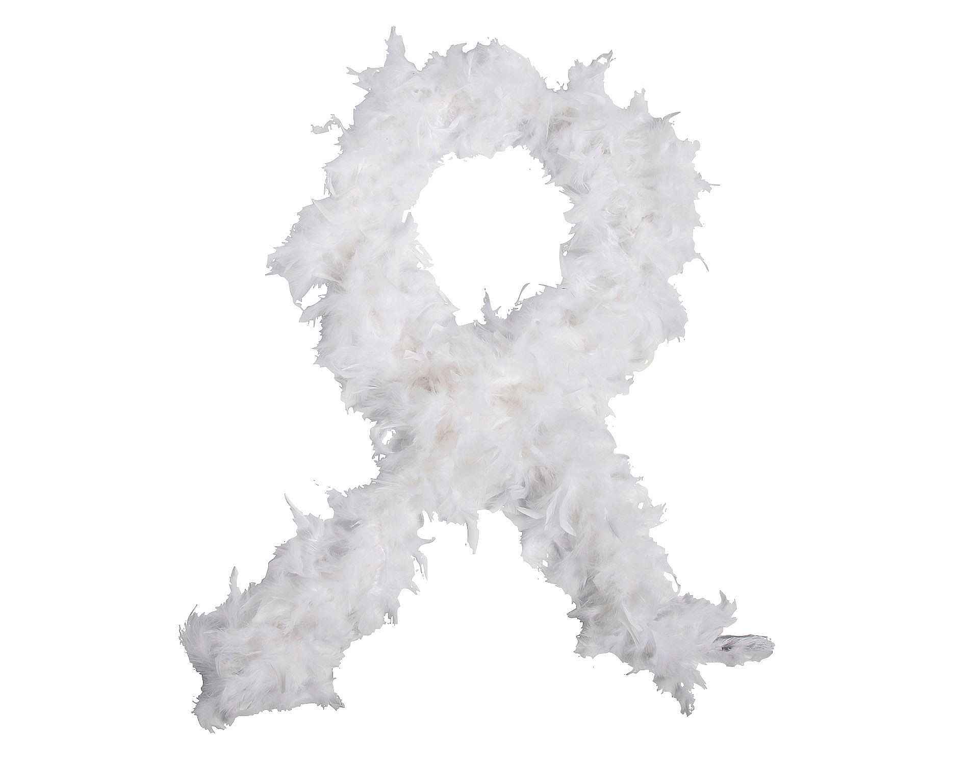 Morris Costumes Solid White Feather Boa Halloween Costume Accessories - White One Size
