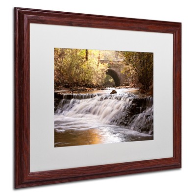 Trademark Fine Art -Jason Shaffer 'Avon Falls' Matted Framed Art