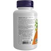 Ginkgo Biloba Double Strength 120 mg by Now Foods  -  100 VegCap - 2 of 3