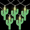 Northlight 10ct Battery Operated Cactus Summer LED String Lights Warm White - 4.5' Clear Wire - 3 of 4