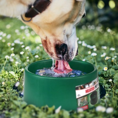 Green 1.5 Gallon Electric Heated Pet Water Bowl with Thermostatic Control