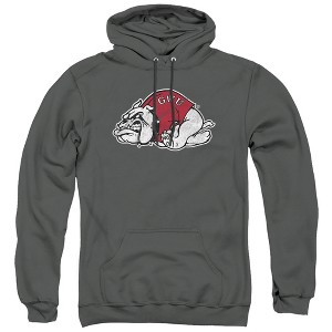 Gardner-Webb University Official Distressed Primary Adult Pull-Over Hoodie - 1 of 4