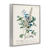 Stupell Industries Flowers And Leaves Vintage Design Framed Giclee Art - 2 of 4
