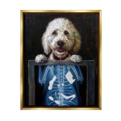 Stupell Industries Funny Dog X-Ray Snacks Framed Canvas
